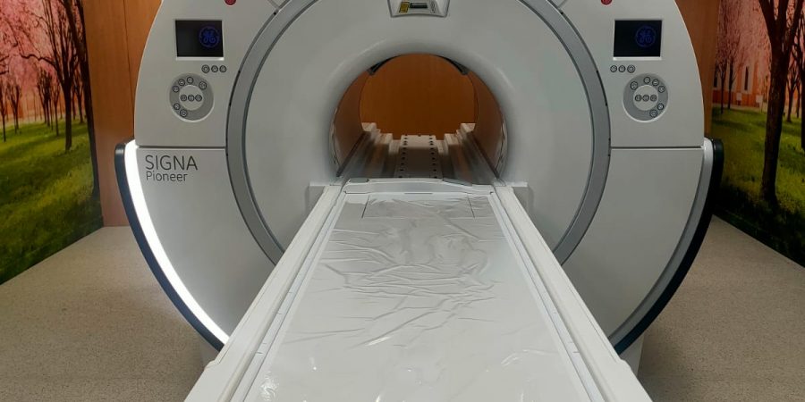 WhatsApp Image 2024-11-06 at 09.37.27