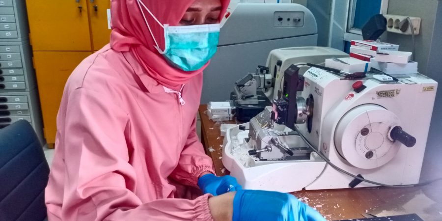 WhatsApp Image 2024-11-06 at 09.48.37 (1)