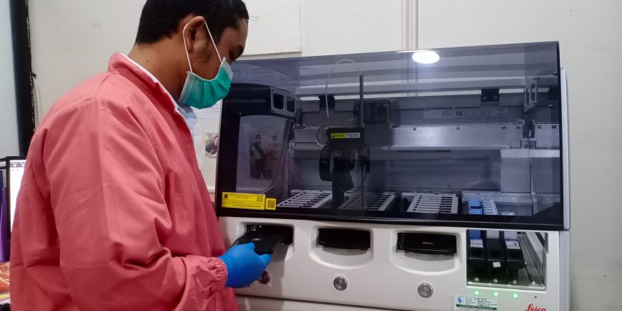 WhatsApp Image 2024-11-06 at 09.48.37