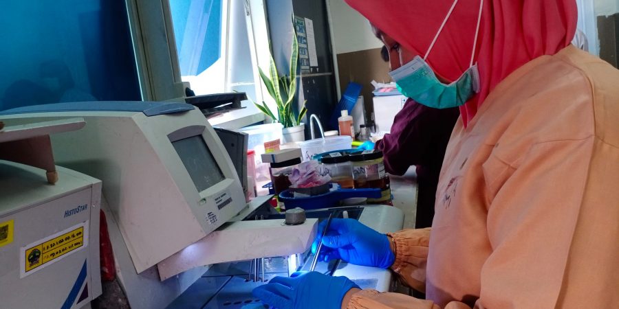 WhatsApp Image 2024-11-06 at 09.48.39