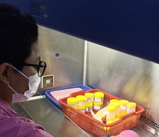 WhatsApp Image 2024-11-06 at 10.14.23