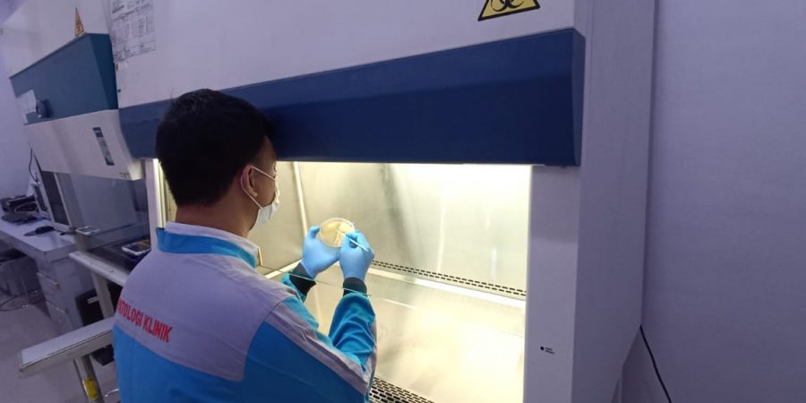 WhatsApp Image 2024-11-06 at 10.25.22