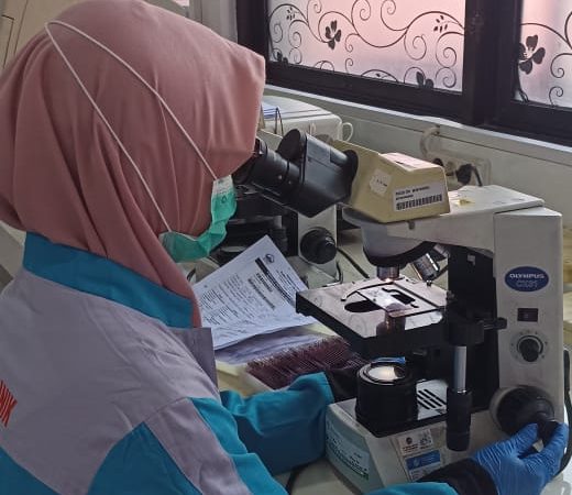 WhatsApp Image 2024-11-06 at 10.25.54