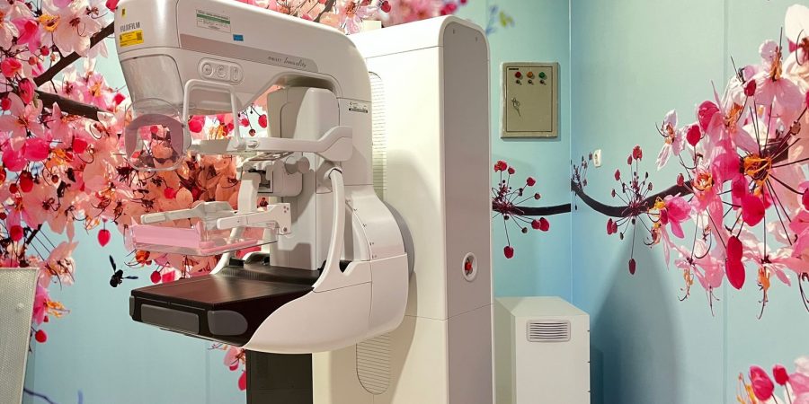 WhatsApp Image 2024-11-06 at 14.24.15 (1)